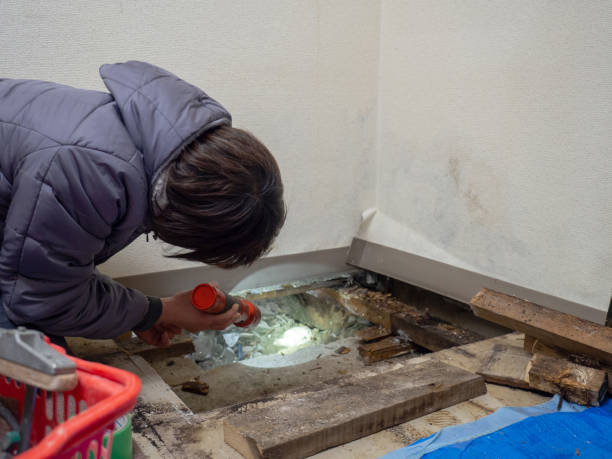 Best Biohazard Mold Removal  in Great Neck Plaza, NY