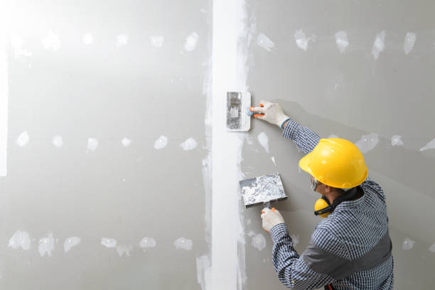 Best Residential Mold Inspection & Testing  in Great Neck Plaza, NY