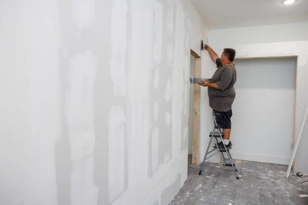 Great Neck Plaza, NY Mold Removal Company