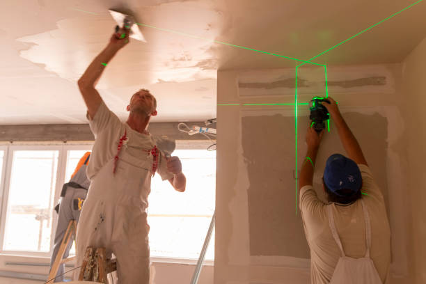 Best Emergency Mold Remediation  in Great Neck Plaza, NY