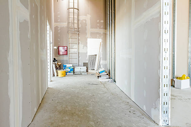 Best Air Quality Testing for Mold Spores  in Great Neck Plaza, NY