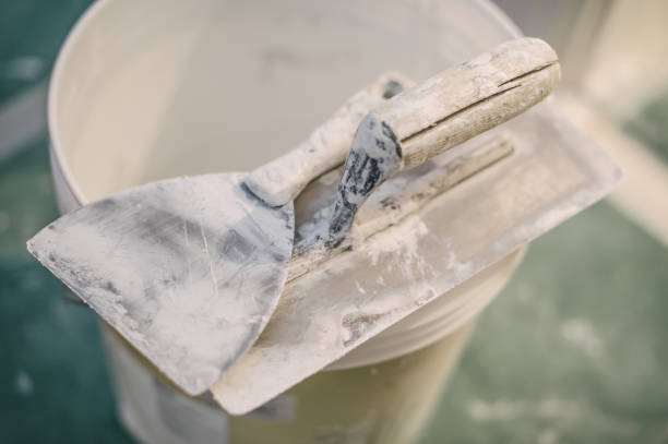 Best Mold-Related Health Consultation  in Great Neck Plaza, NY