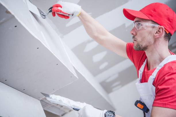 Best Environmental Consulting for Mold Prevention  in Great Neck Plaza, NY